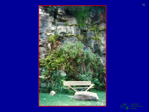 Part 2 Slide 31 Part 2 Slide 31